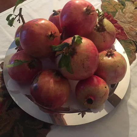 D'hotes De Charme La Belle Vue Bed & Breakfast